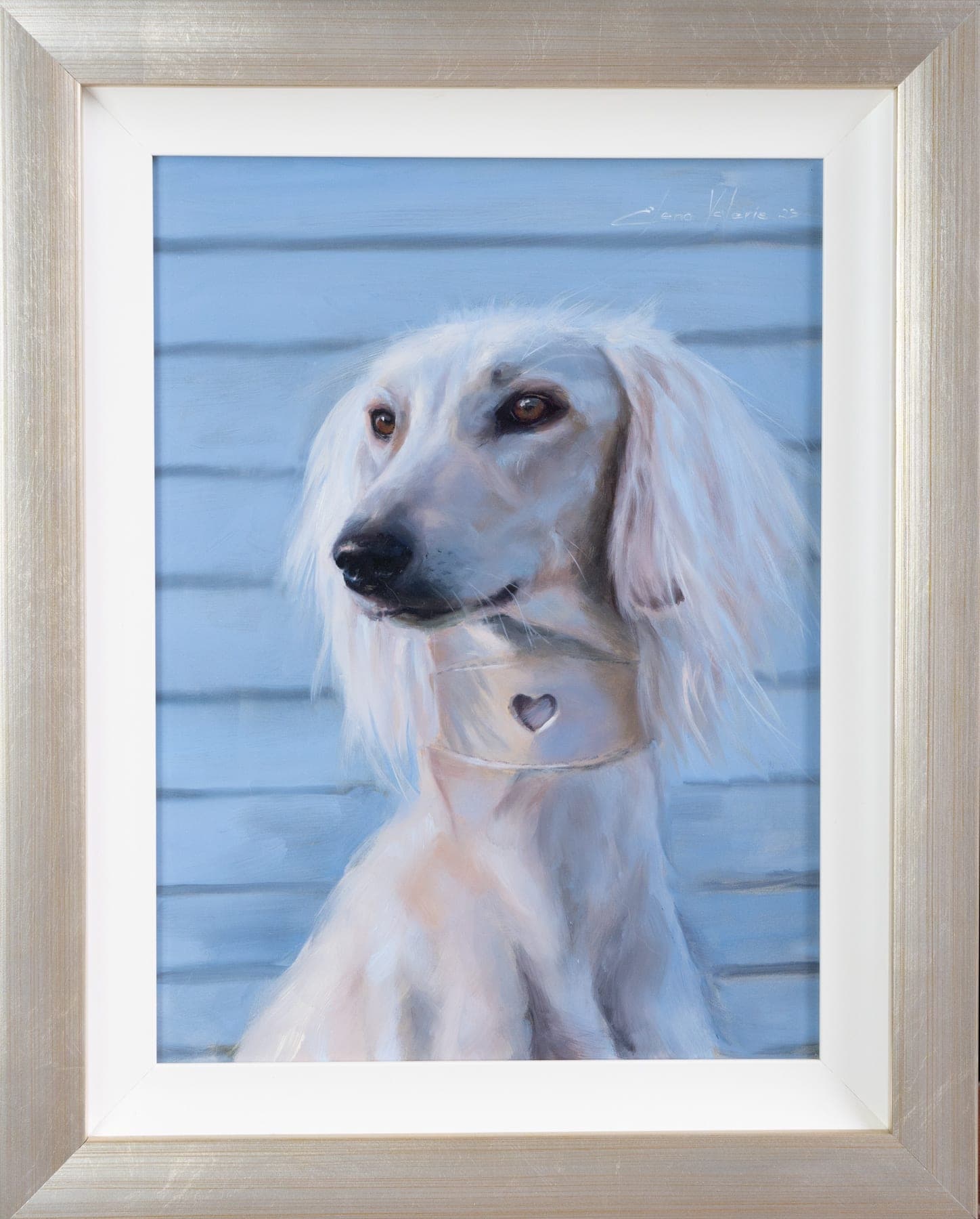 Saluki Dog Portrait