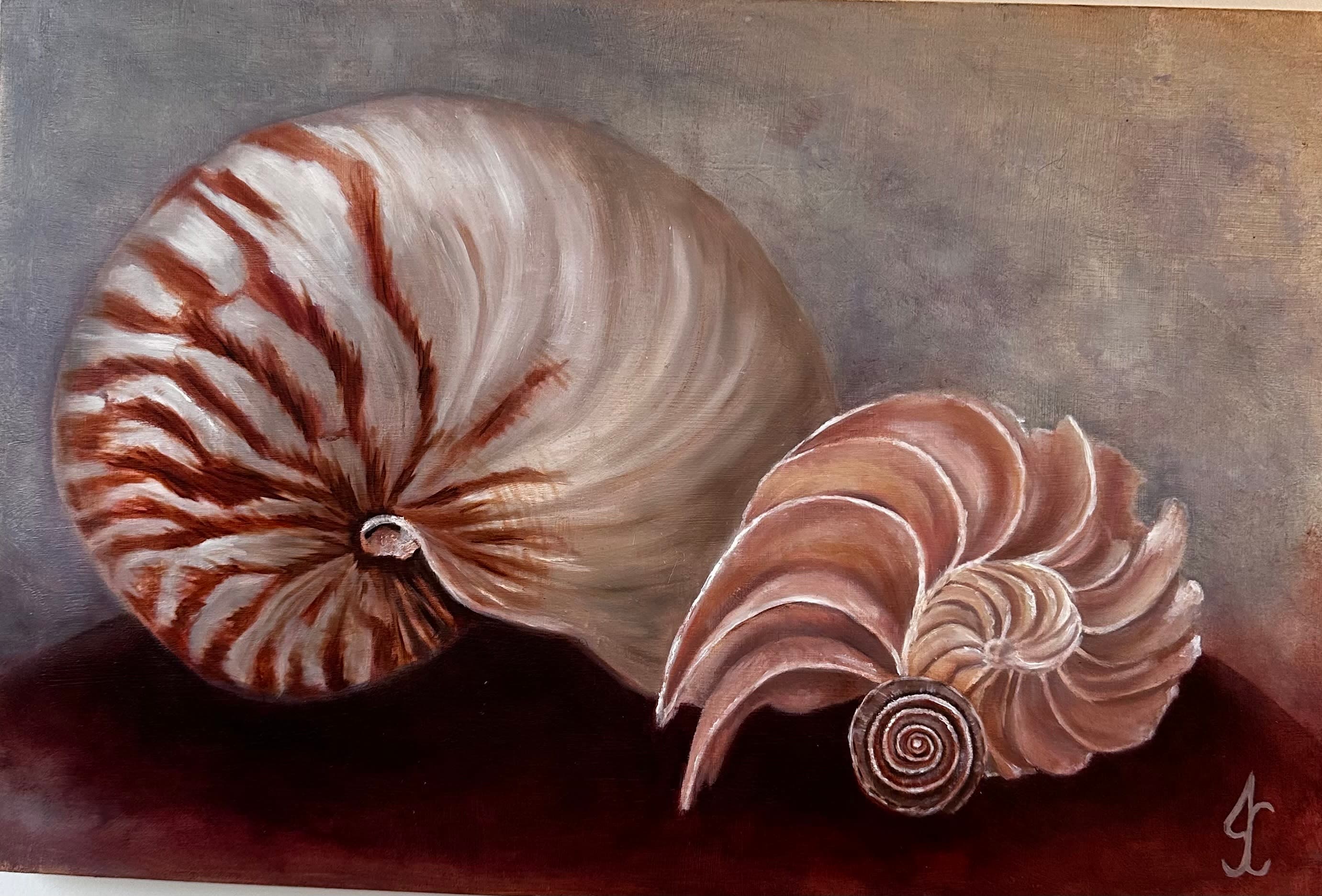 Nautilus
