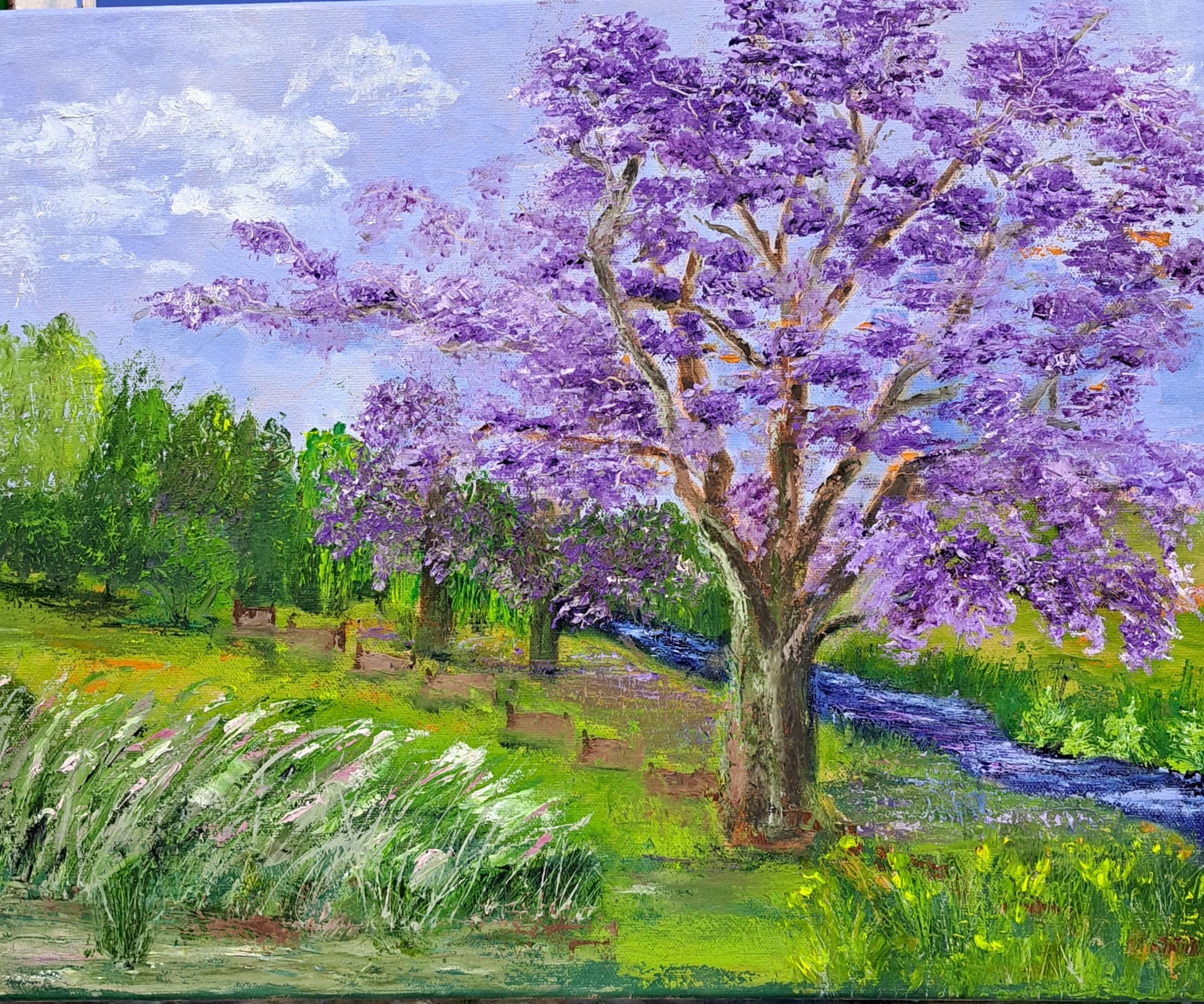 Jacaranda- spring joy