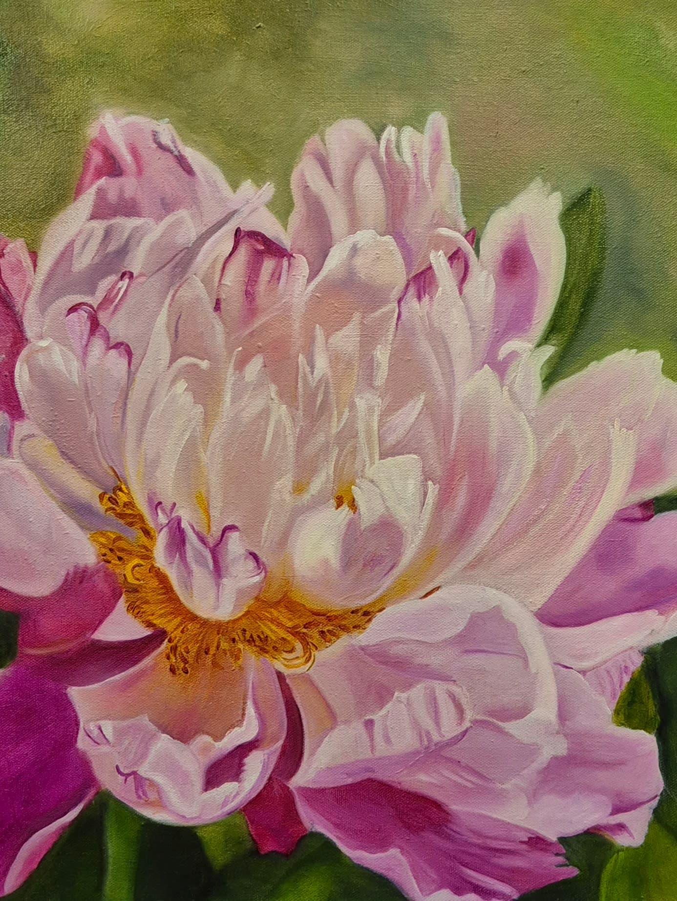 Peony - Layers of Grace