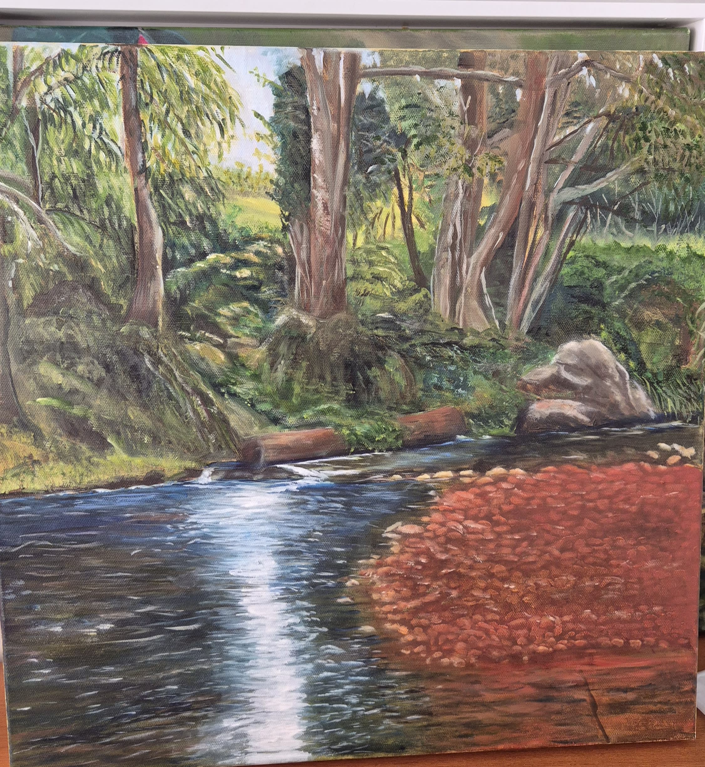 Tallebudgera Creek - Lingering in the Light