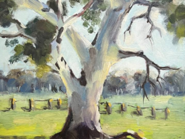 gum tree oil painting by Lana Zueva